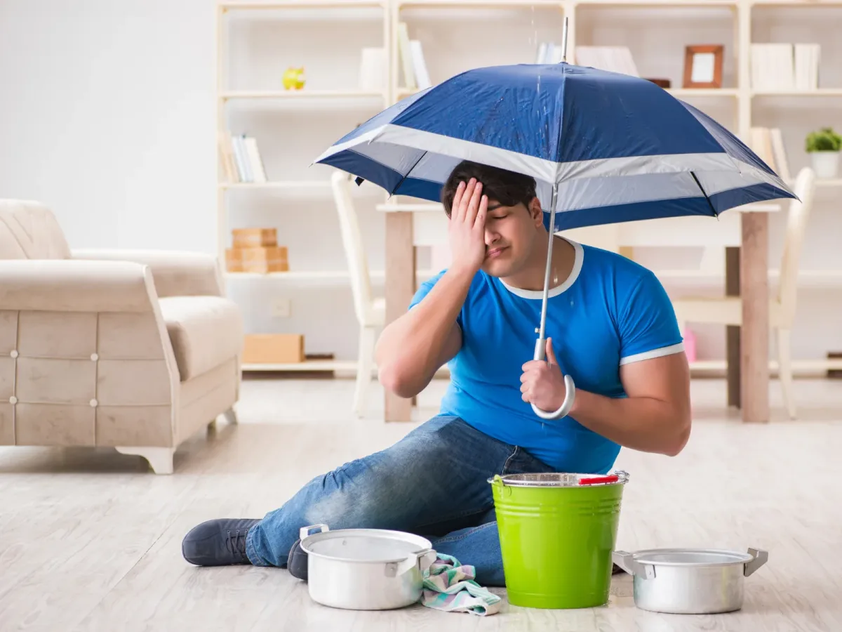 Reformas a realizar en cada época del año y revaloriza tu vivienda.